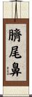 臍尾鼻 Scroll