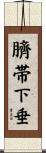 臍帯下垂 Scroll