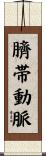 臍帯動脈 Scroll