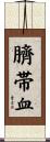 臍帯血 Scroll