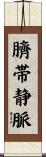 臍帯静脈 Scroll
