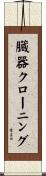 臓器クローニング Scroll