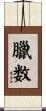 臘数 Scroll