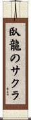 臥龍のサクラ Scroll