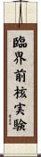 臨界前核実験 Scroll
