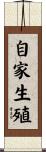 自家生殖 Scroll
