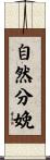 自然分娩 Scroll
