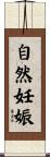 自然妊娠 Scroll