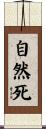 自然死 Scroll