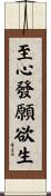 至心發願欲生 Scroll