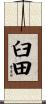 臼田 Scroll