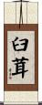 臼茸 Scroll
