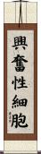 興奮性細胞 Scroll