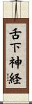 舌下神経 Scroll
