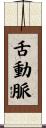 舌動脈 Scroll