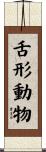 舌形動物 Scroll