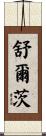 Schultz Scroll