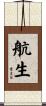 航生 Scroll