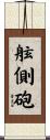 舷側砲 Scroll