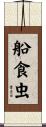 船食虫 Scroll