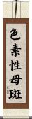 色素性母斑 Scroll