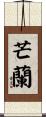 芒蘭 Scroll