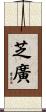 芝廣 Scroll