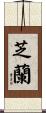 芝蘭 Scroll