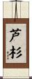 芦杉 Scroll