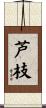 芦枝 Scroll
