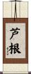 芦根 Scroll