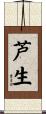 芦生 Scroll