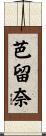 芭留奈 Scroll