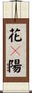 花々陽 Scroll
