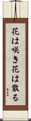 Flowers Bloom and Flowers Fall Scroll