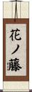 花ノ藤 Scroll