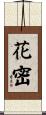 花密 Scroll