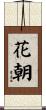 花朝 Scroll