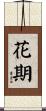 花期 Scroll