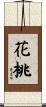 花桃 Scroll