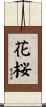 花桜 Scroll