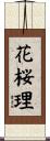 花桜理 Scroll
