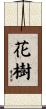花樹 Scroll