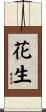 花生 Scroll
