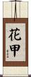花甲 Scroll