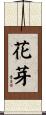 花芽 Scroll