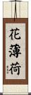 花薄荷 Scroll