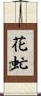 花虻 Scroll