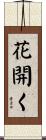 花開く Scroll
