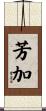 芳加 Scroll
